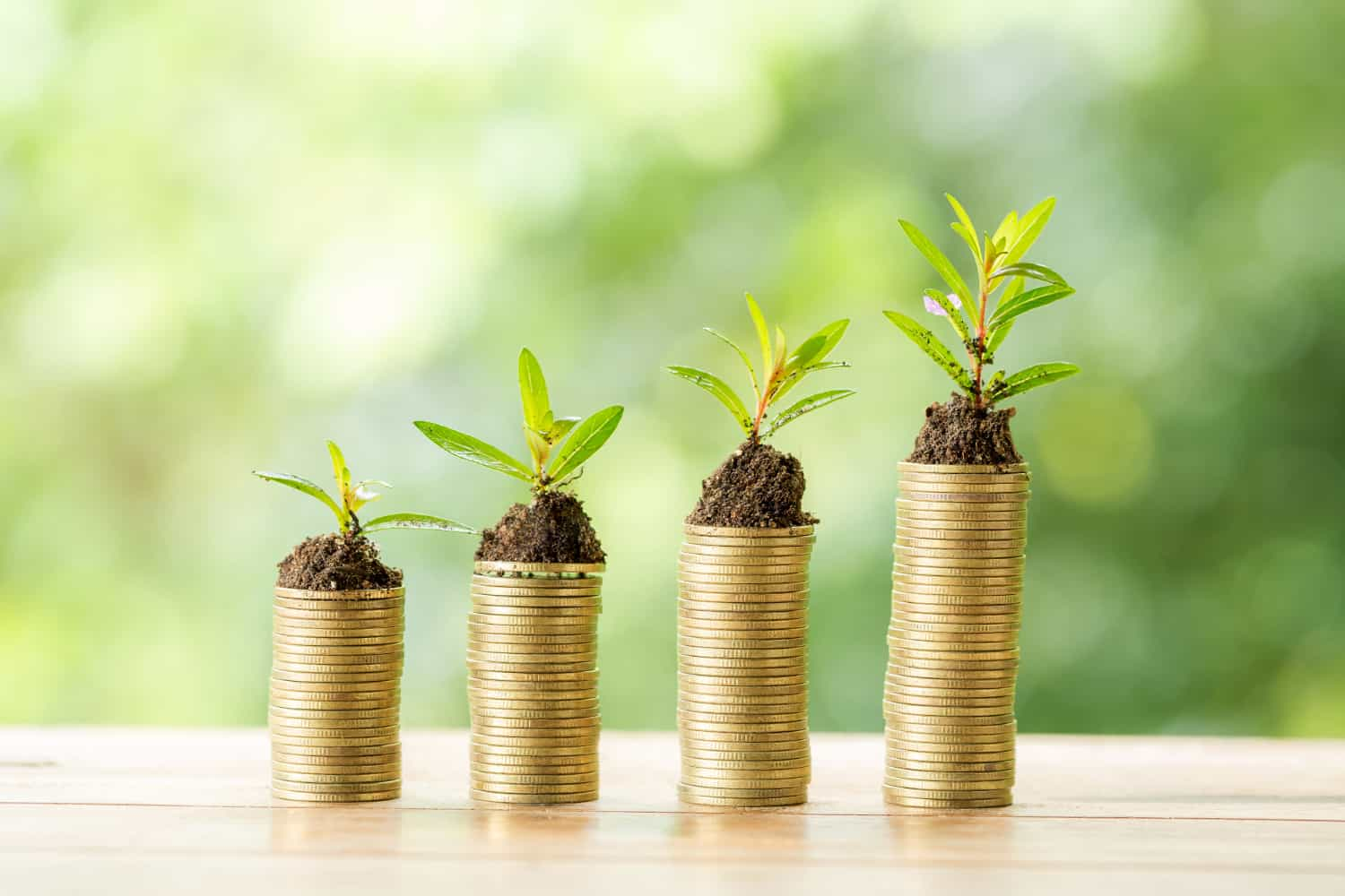 Four stacks of money coins with a plant on top Core Values of SK Financial Services https://skfinancial.co