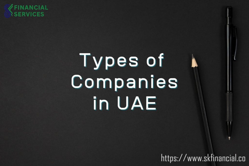 Types of Companies in UAE presented by SK Financial Services https://skfinancial.co