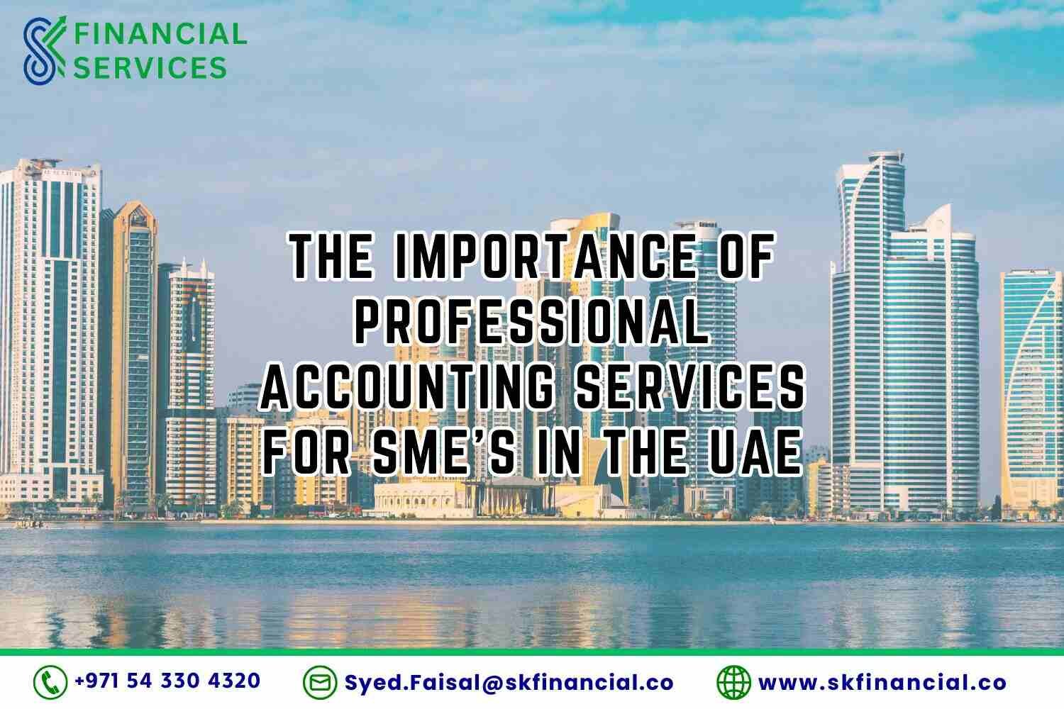 The Importance of Professional Accounting Services for SMEs in the UAE